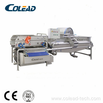 Commercial vegetable processing line with ozone
